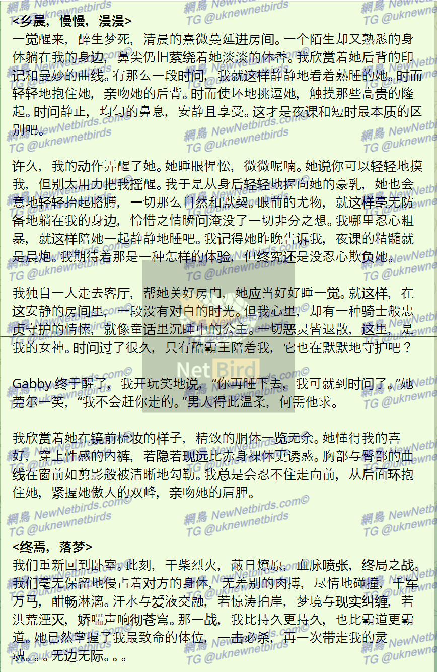 戰號 999 5.png